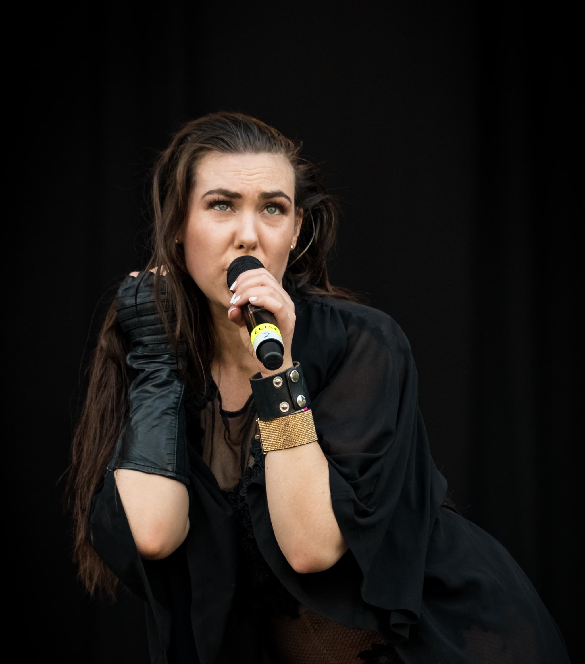 Elize Ryd's image