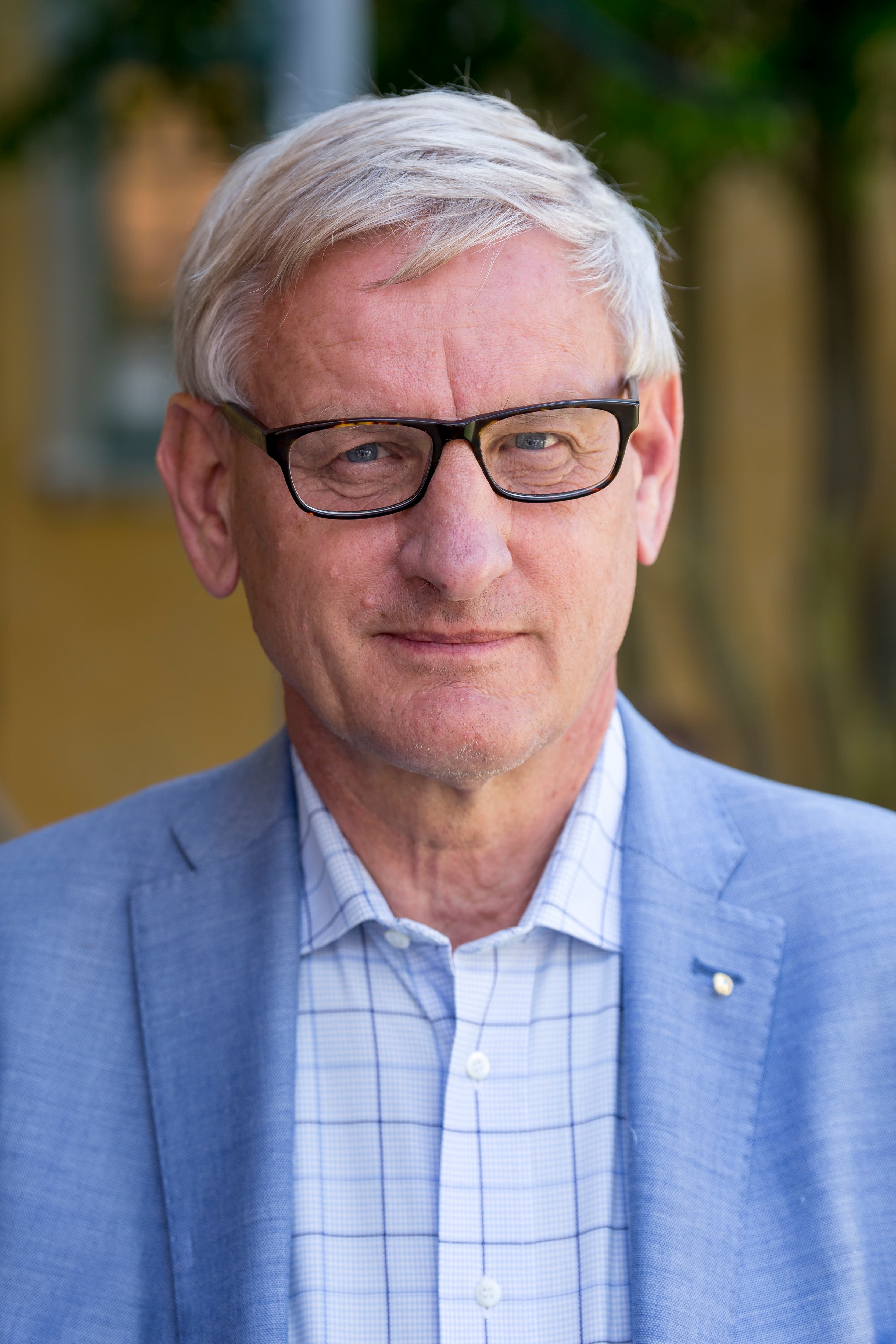 Carl Bildt's image