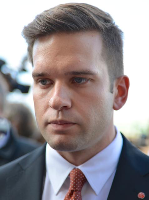 Gabriel Wikström's image