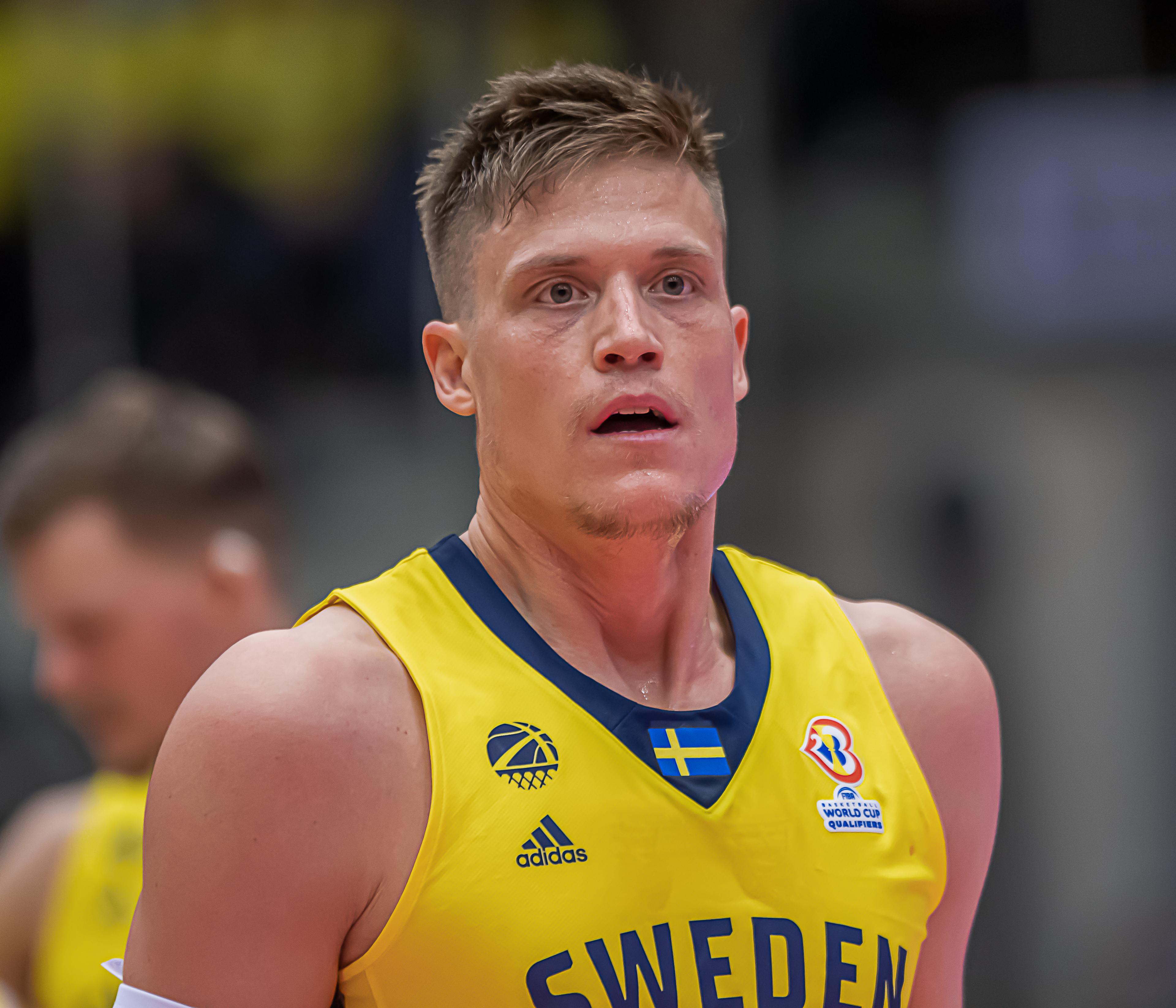 Jonas Jerebko's image