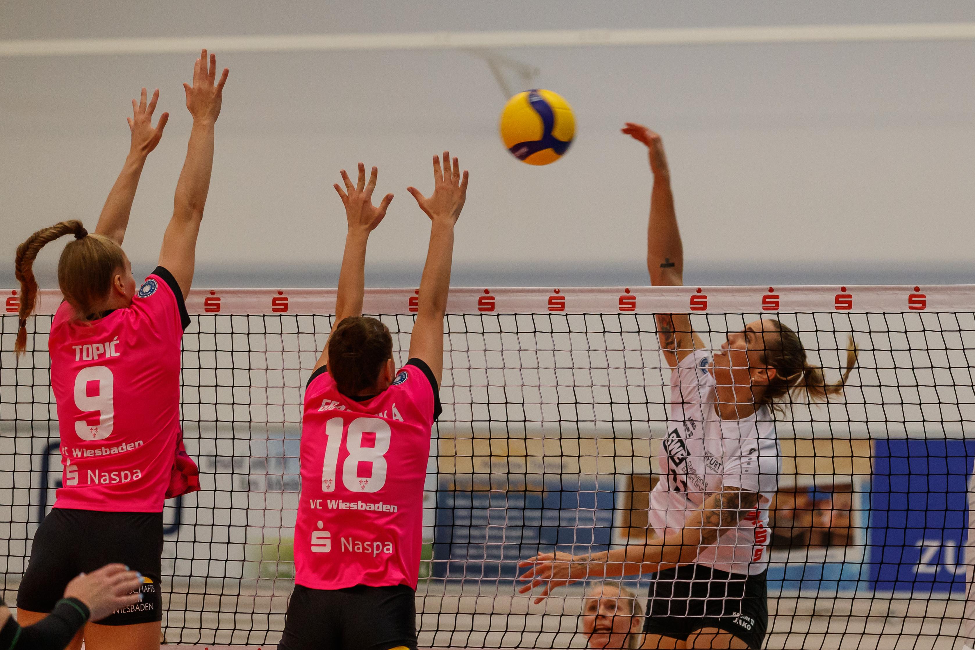 Dalila-Lilly Topic's image